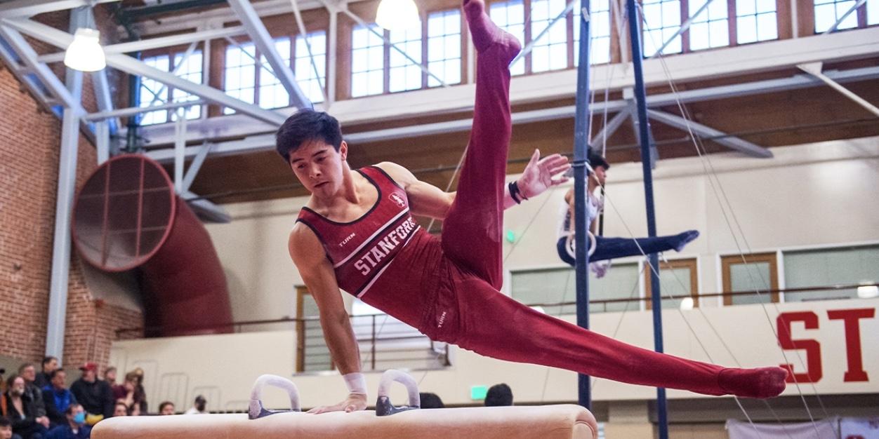 Stanford men's gymnastics