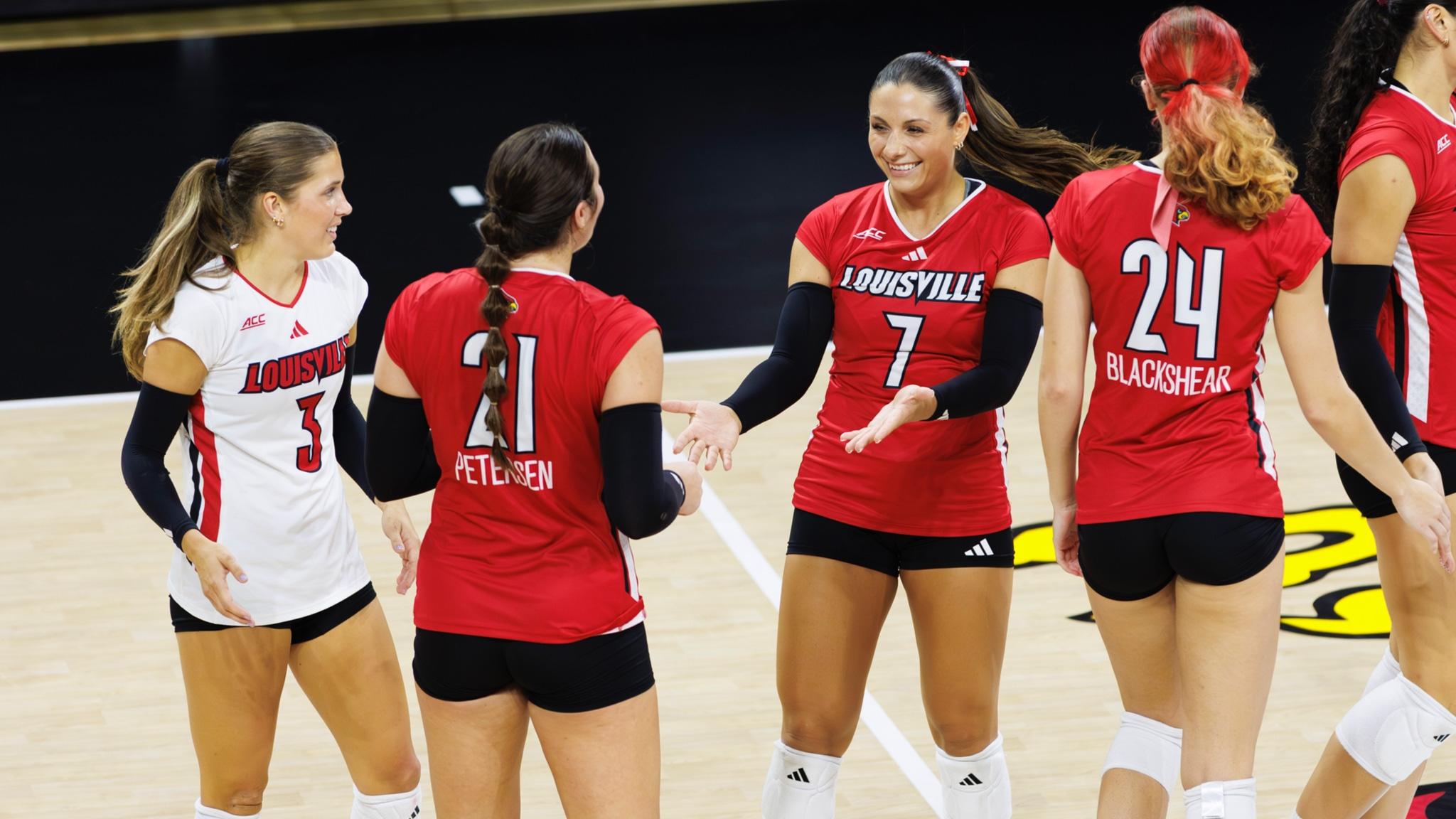 Louisville Volleyball